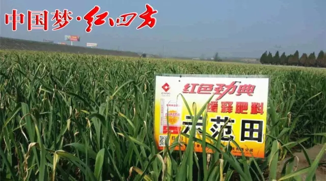 茄子视频免费观看视频茄子视频官网APP聯合紅四方企業全麵布局，掌控土壤品質