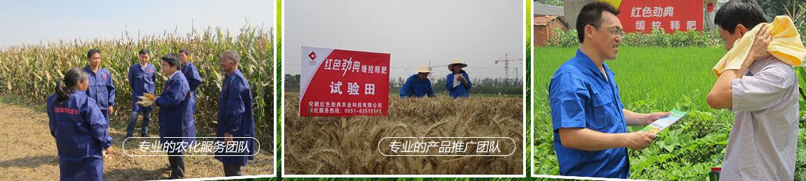 茄子视频免费观看视频緩釋尿素