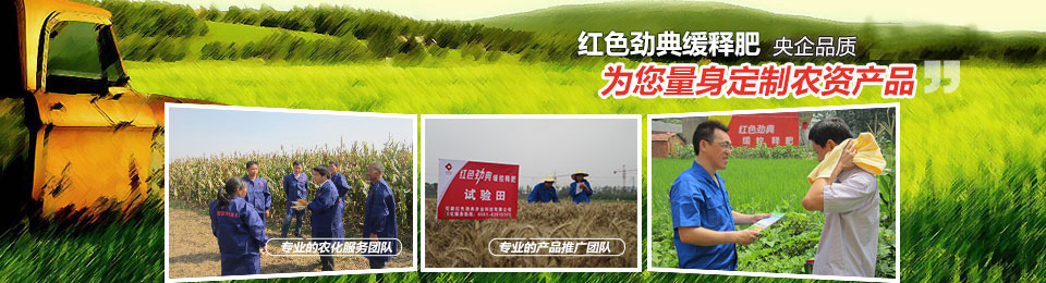 茄子视频免费观看视频，冠軍品質，五星服務